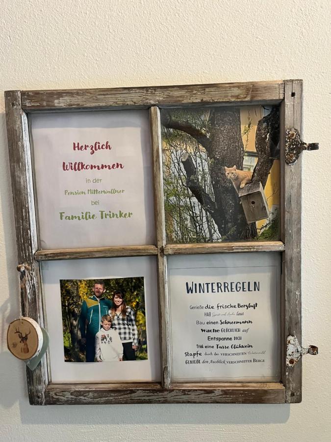 Pension Mitterwallner Schladming Eksteriør bilde
